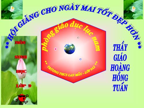 Bài 10. Giảm phân