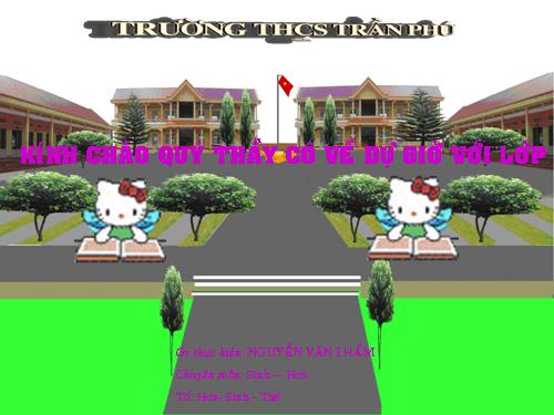 Bài 12. Cơ chế xác định giới tính