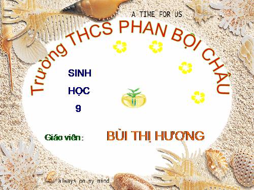 Bài 12. Cơ chế xác định giới tính