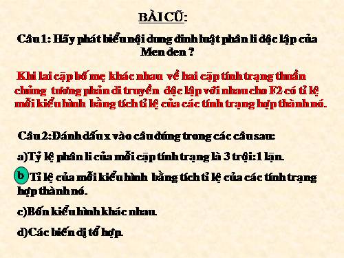 Bài 5. Lai hai cặp tính trạng (tiếp theo)