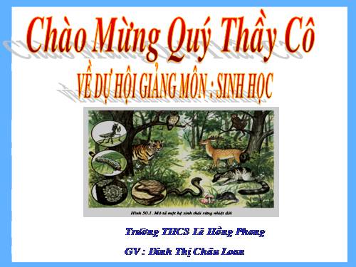 Bài 50. Hệ sinh thái