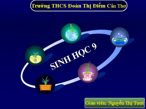 Bài 10. Giảm phân