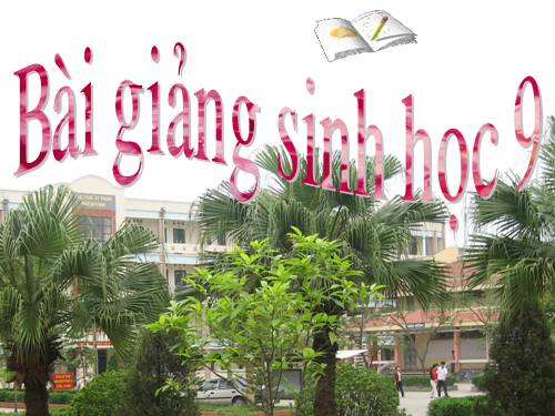 Bài 10. Giảm phân