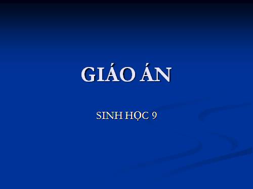 Bài 10. Giảm phân