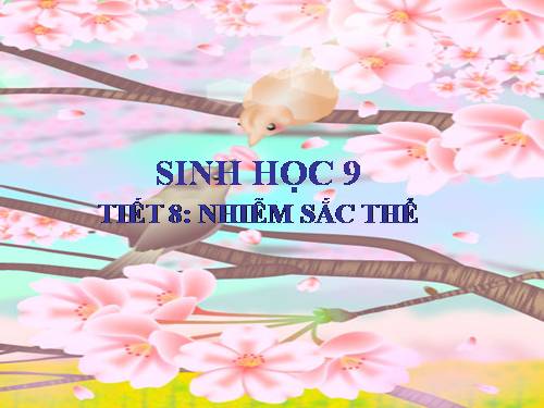 Bài 8. Nhiễm sắc thể