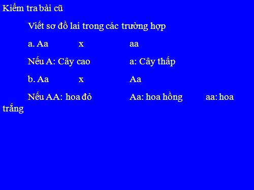 Bài 4. Lai hai cặp tính trạng