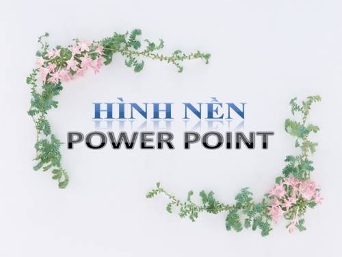 50 hình nền đẹp