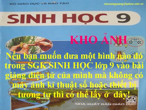 KHO ẢNH SGK SINH 9