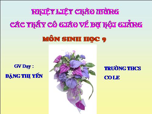 Bài 41. Môi trường và các nhân tố sinh thái