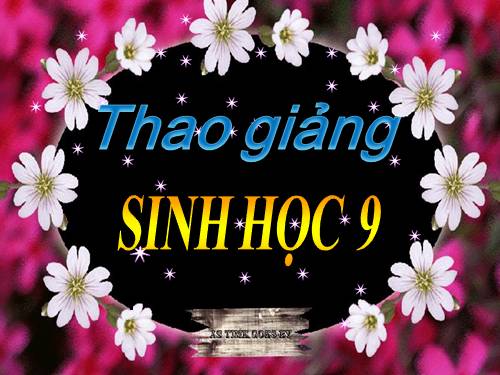 Bài 17. Mối quan hệ giữa gen và ARN