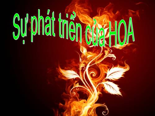 Sự phát triển của hoa