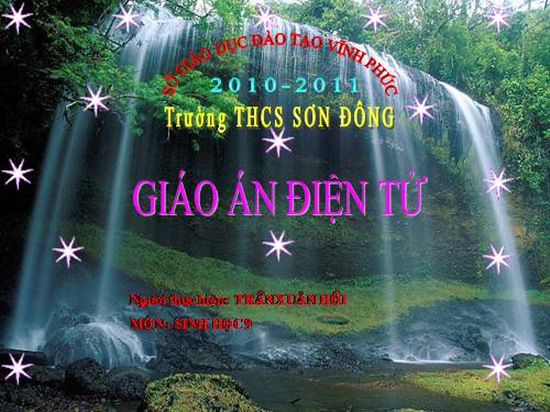 Bài 4. Lai hai cặp tính trạng
