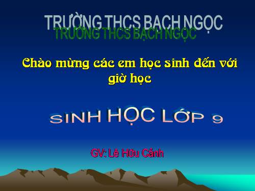 Bài 64. Tổng kết chương trình toàn cấp