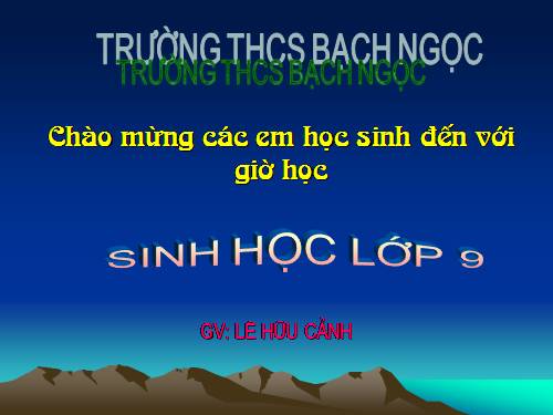 Bài 64. Tổng kết chương trình toàn cấp