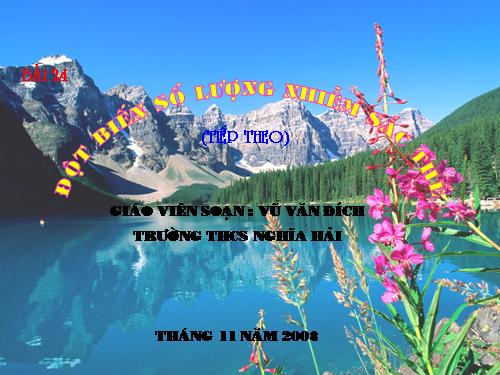 Bài 24. Đột biến số lượng nhiễm sắc thể (tiếp theo)