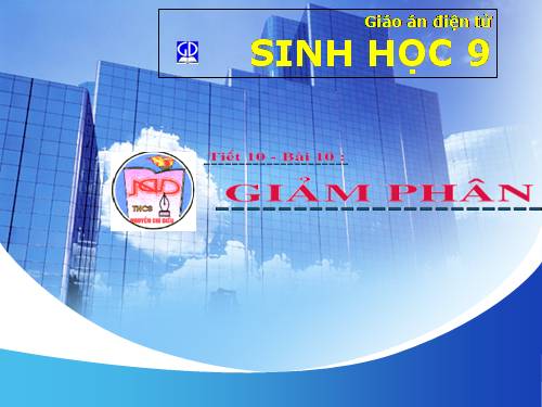 Bài 10. Giảm phân