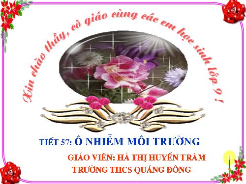 Bài 55. Ô nhiễm môi trường (tiếp theo)