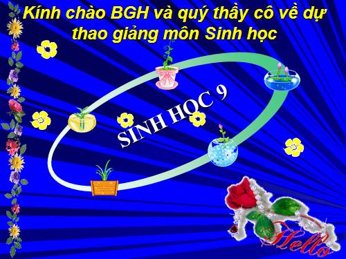 Bài 50. Hệ sinh thái