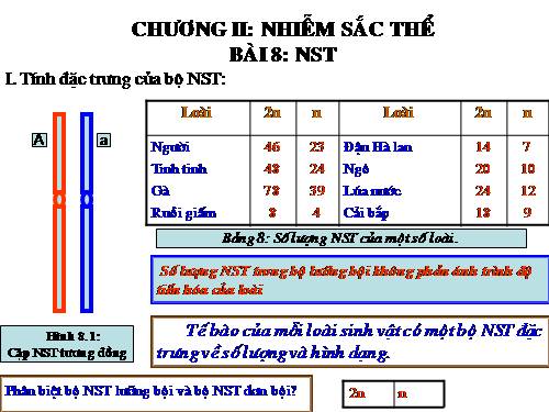 Bài 8. Nhiễm sắc thể