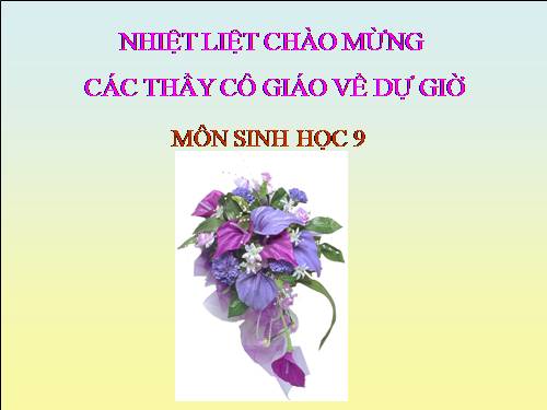 Bài 41. Môi trường và các nhân tố sinh thái