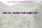 Bài 47. Quần thể sinh vật