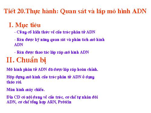 Bài 20. Thực hành: Quan sát và lắp mô hình ADN