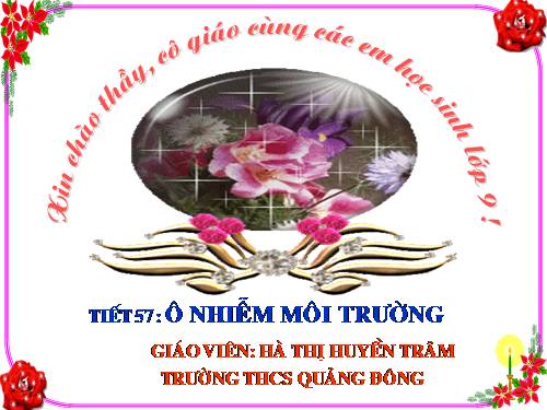 Bài 55. Ô nhiễm môi trường (tiếp theo)