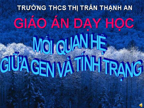 Bài 19. Mối quan hệ giữa gen và tính trạng