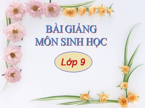 Bài 55. Ô nhiễm môi trường (tiếp theo)