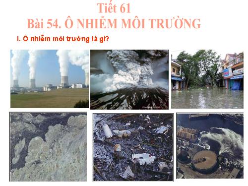 Bài 54. Ô nhiễm môi trường