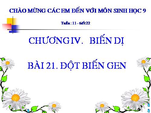 Bài 21. Đột biến gen