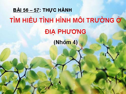 Bài 56. Thực hành: Tìm hiểu tình hình môi trường ở địa phương