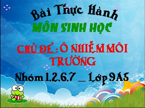 Bài 56. Thực hành: Tìm hiểu tình hình môi trường ở địa phương