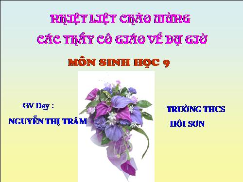 Bài 41. Môi trường và các nhân tố sinh thái