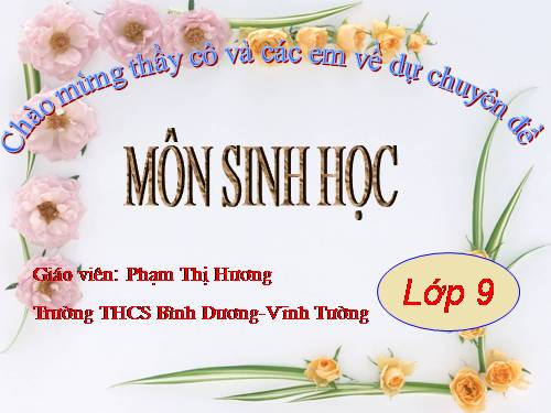 Bài 55. Ô nhiễm môi trường (tiếp theo)