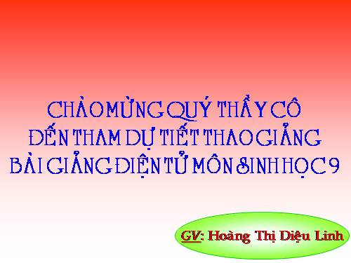 Bài 50. Hệ sinh thái