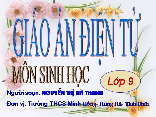 Bài 55. Ô nhiễm môi trường (tiếp theo)