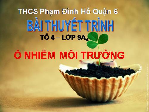 Bài 54. Ô nhiễm môi trường