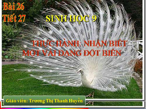 Bài 26. Thực hành: Nhận biết một vài dạng đột biến