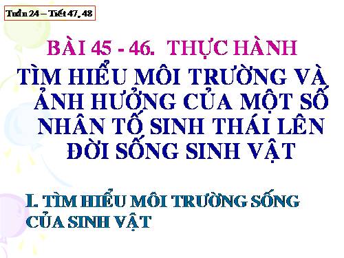 Bài 45. Thực hành: Tìm hiểu môi trường và ảnh hưởng của một số nhân tố sinh thái lên đời sống sinh vật