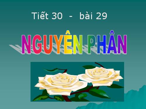 Bài 9. Nguyên phân