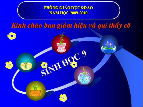 Bài 50. Hệ sinh thái