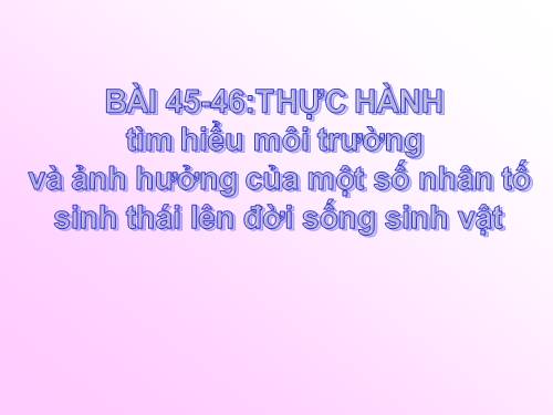 Bài 45. Thực hành: Tìm hiểu môi trường và ảnh hưởng của một số nhân tố sinh thái lên đời sống sinh vật