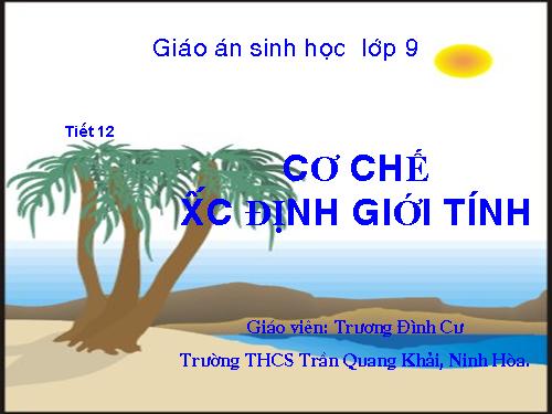 Bài 12. Cơ chế xác định giới tính