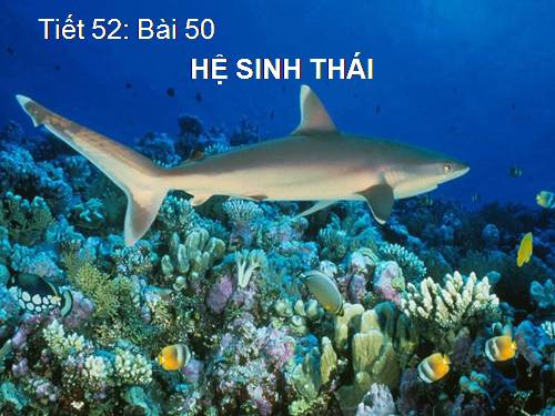 Bài 50. Hệ sinh thái