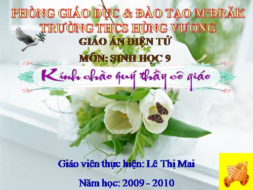 Bài 50. Hệ sinh thái