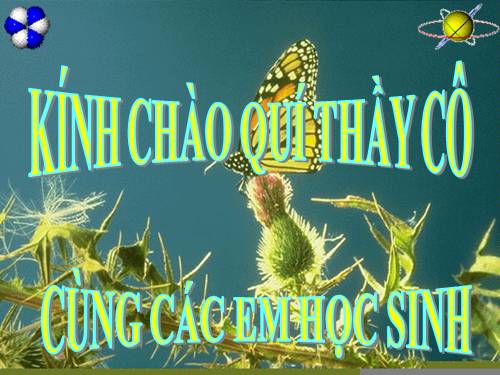 Bài 22. Đột biến cấu trúc nhiễm sắc thể