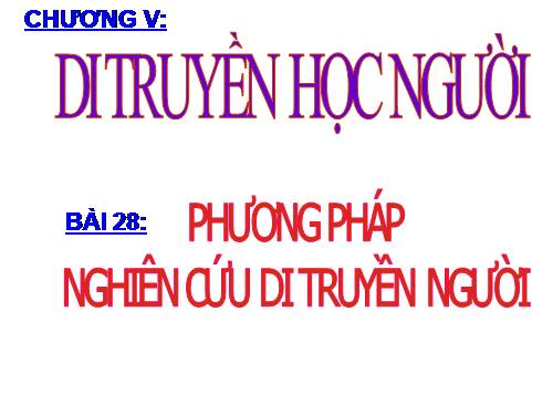 Bài 28. Phương pháp nghiên cứu di truyền người