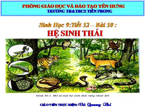 Bài 50. Hệ sinh thái