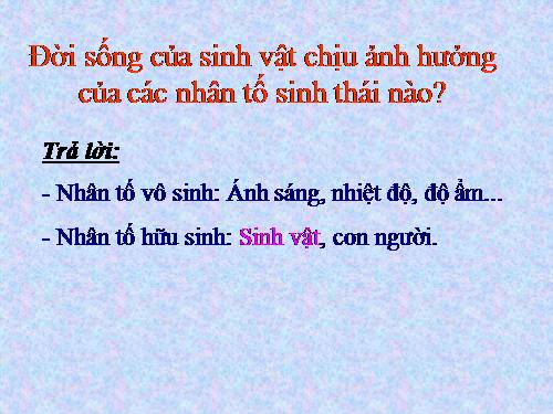 Bài 44. Ảnh hưởng lẫn nhau giữa các sinh vật